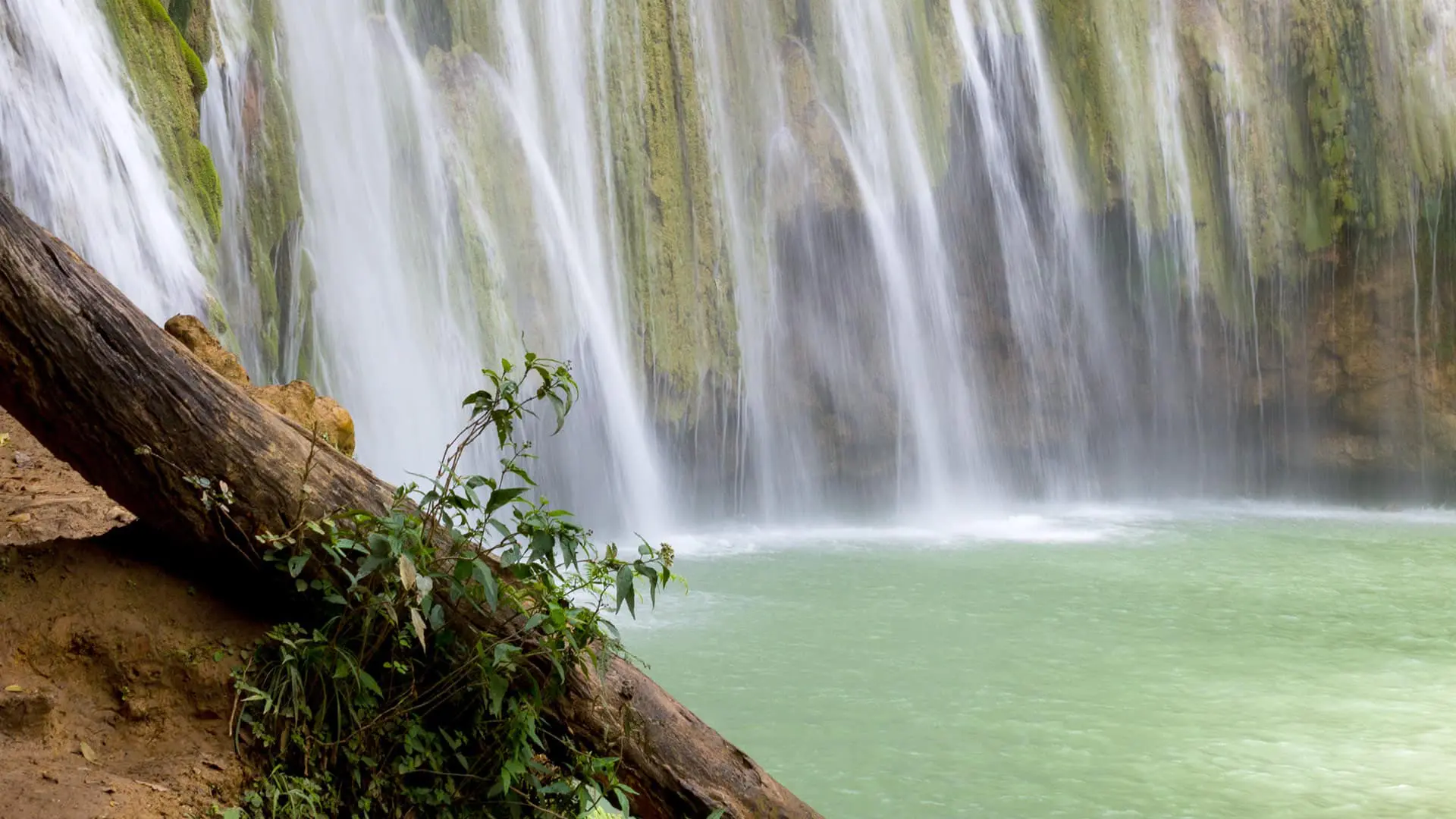 A waterfall with green water and trees in the background.