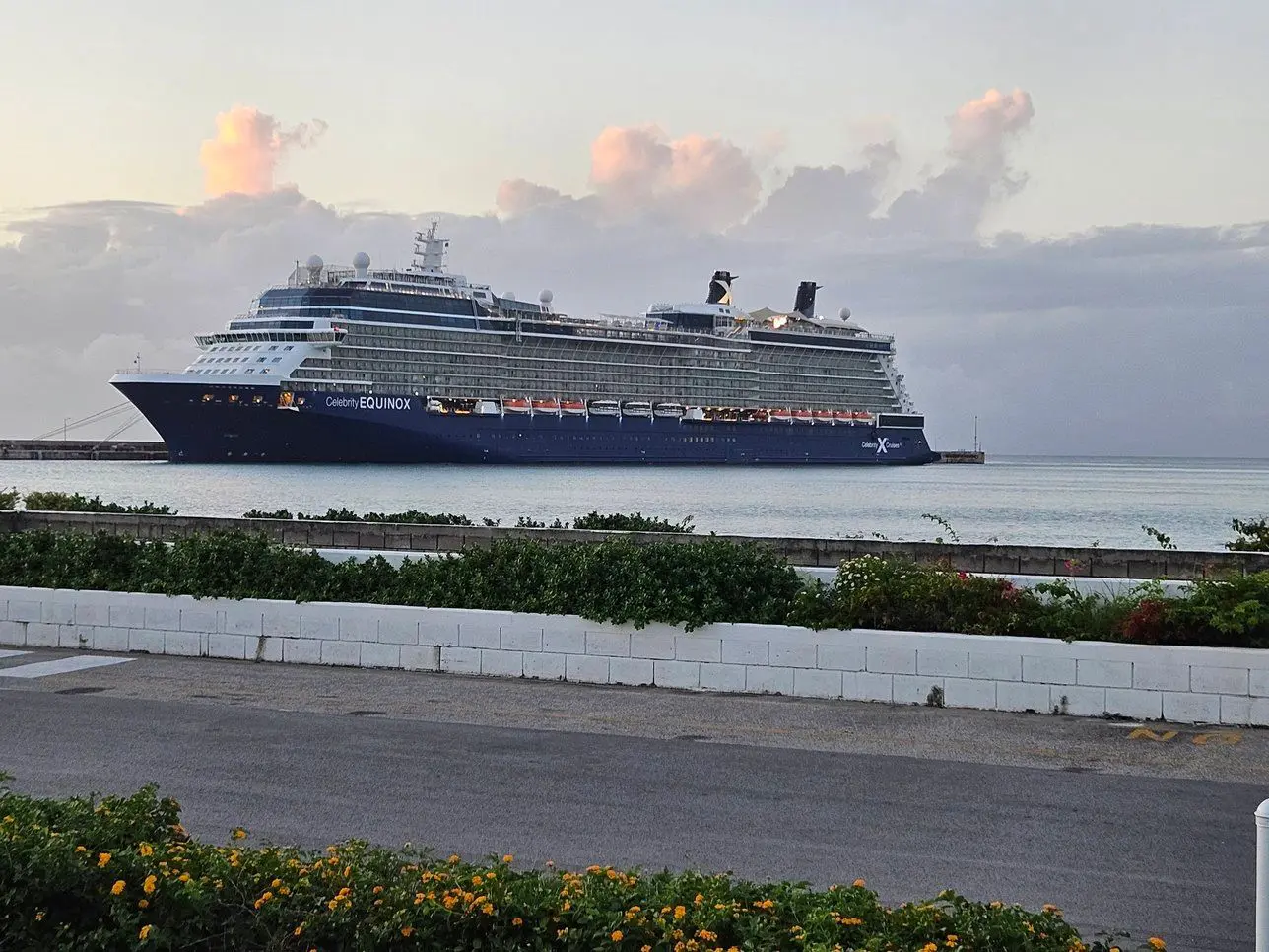 A cruise ship is in the water near some bushes.