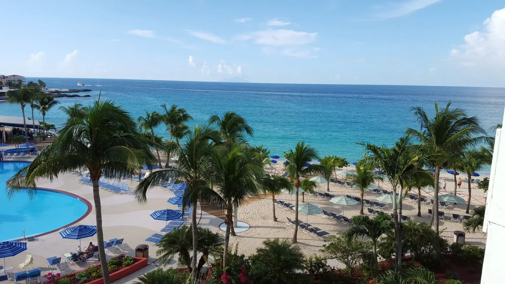 A beach with palm trees and blue water