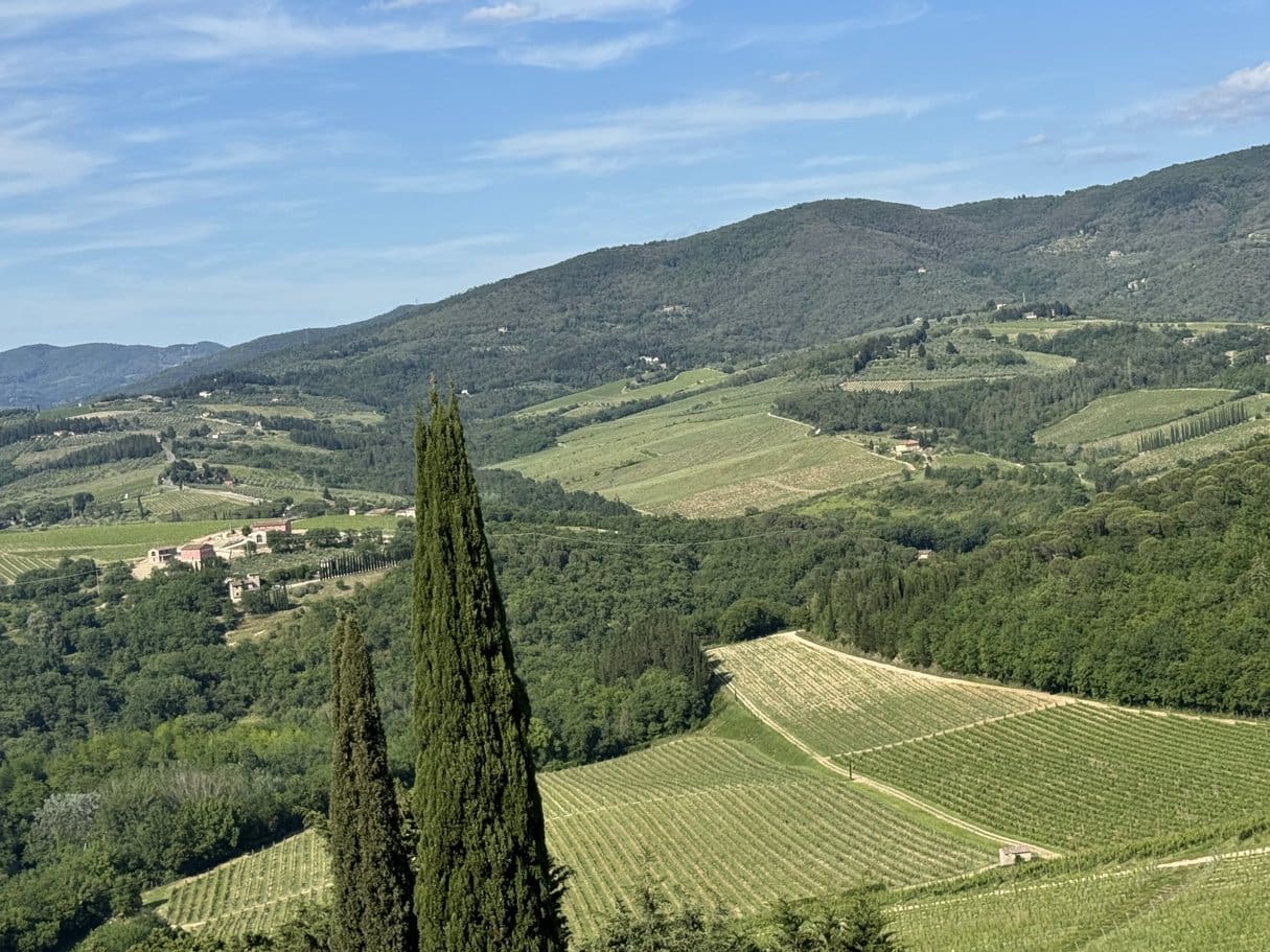 Tropical beach sunset with palm trees silhouette.